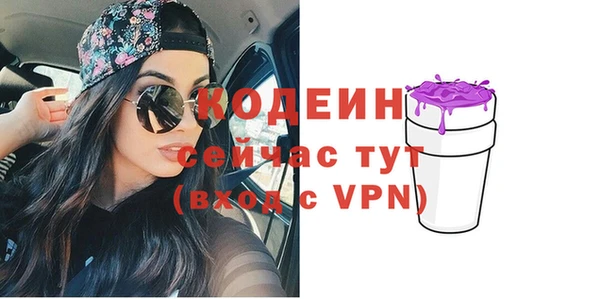 ГАЛЛЮЦИНОГЕННЫЕ ГРИБЫ Михайлов