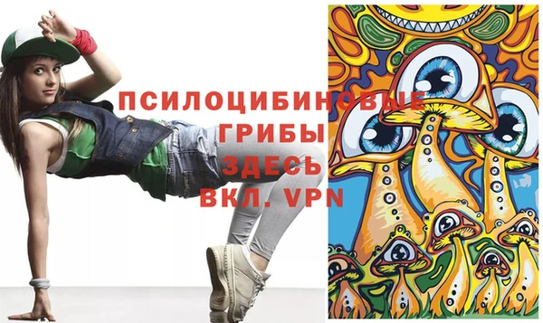 ГАЛЛЮЦИНОГЕННЫЕ ГРИБЫ Михайловка