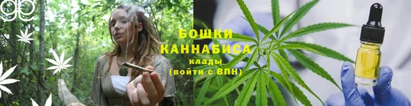 ГАЛЛЮЦИНОГЕННЫЕ ГРИБЫ Михайлов