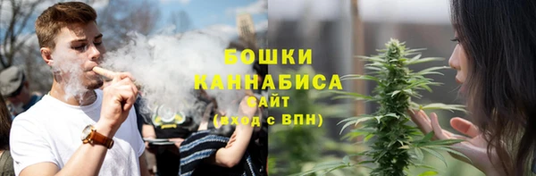 ГАЛЛЮЦИНОГЕННЫЕ ГРИБЫ Михайлов