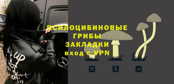 ГАЛЛЮЦИНОГЕННЫЕ ГРИБЫ Михайлов