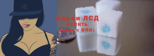 ГАЛЛЮЦИНОГЕННЫЕ ГРИБЫ Михайлов
