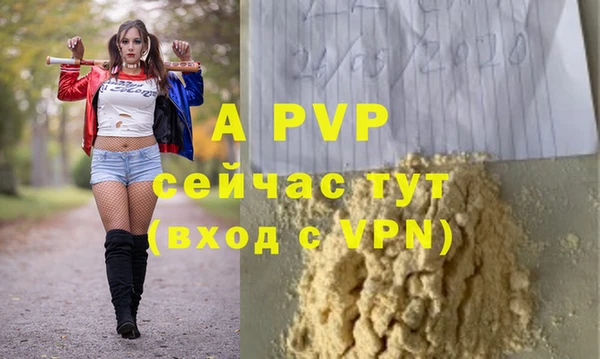 ГАЛЛЮЦИНОГЕННЫЕ ГРИБЫ Михайловка
