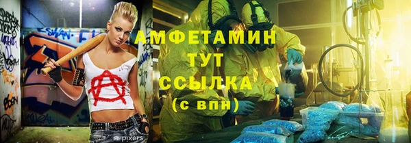 ГАЛЛЮЦИНОГЕННЫЕ ГРИБЫ Михайлов
