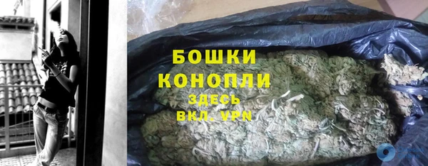 шишки Медногорск
