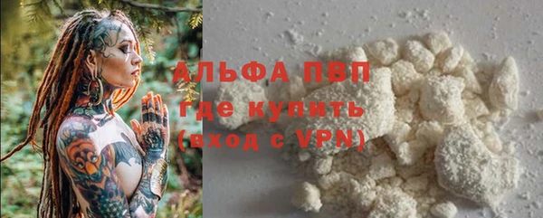шишки Медногорск