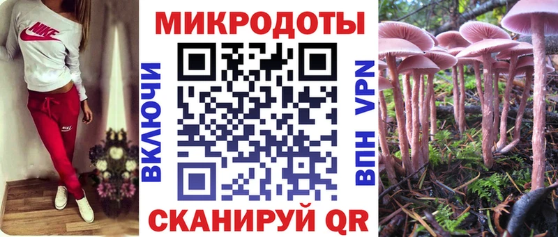 Псилоцибиновые грибы прущие грибы  blacksprut зеркало  Дубовка 